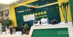 五年一贯制专转本就一次！这5招让你闭眼选对辅导机构